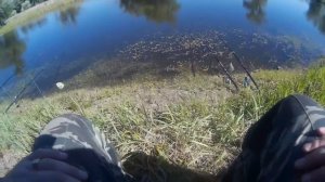 РЫБАЛКА В ИЮНЕ НА ПОПЛАВОЧНУЮ УДОЧКУ
