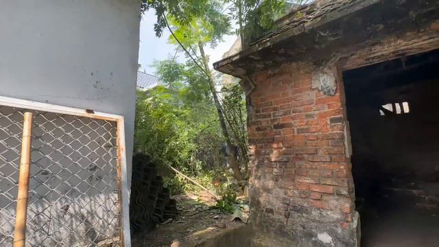 Quick Video Transformation General cleaning of the garden and tree house to help Single Women смотреть онлайн