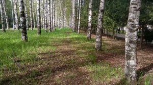 "Свеча"  русская народная песня исп. Е. Лобастовой Авторское видео клип