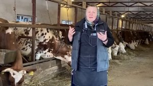 Покупайте коров в частных хозяйствах.