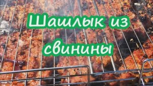 Шашлык из свинины в томатном соке рецепт