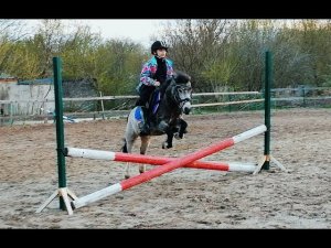 Обучение лошади. Первые прыжки на пони