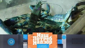 «НашПотребНадзор»: мини-ферма в гараже, сальмонелла в курином филе и безопасная тара для напитков