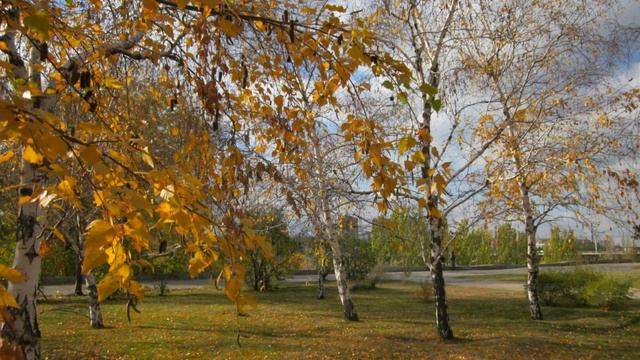 Стихи «Березы». смотреть онлайн