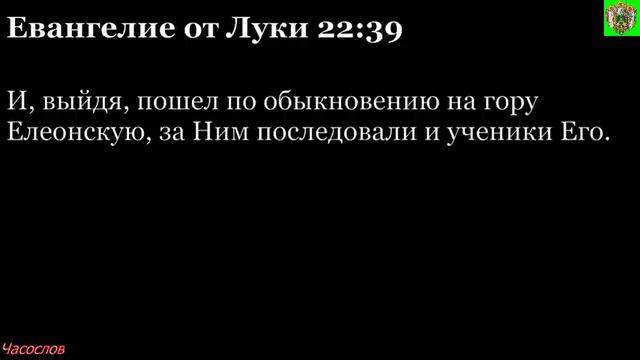 Аудиокнига. Библия. Новый Завет. ЕВАНГЕЛИЕ ОТ ЛУКИ. Глава 22 смотреть онлайн