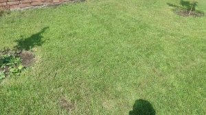 Наш сад. Обзор газонокосилки, теплицы и прочего.