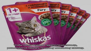 Вискас для котят: сухой и влажный корм для кошек