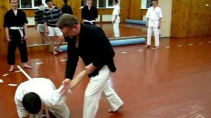 Хапкидо. Техника защиты, ударов и захватов.