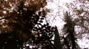 12_11_2017_СОЧИ_PINK FLOYD_Us and Them (Piano Cover).mp4