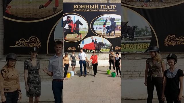 акции Ice Bucket Challenge, Краснодарский ипподром