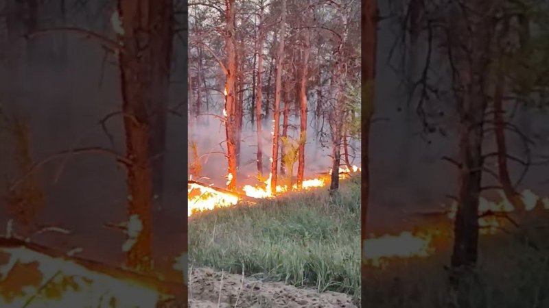 Работа Волгоградских огнеборцев!!