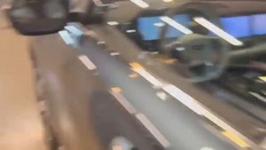 Монжаро разных цветов, 2023 гв. Цена 4.2 млн