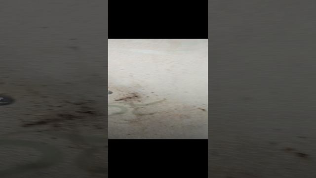 Уничтожение клопов в Ивантеевке смотреть онлайн