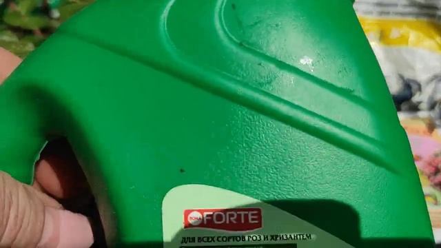 ?Стоит ли кормить розы первого года посадки ⁉️Чем подкормить молодые саженцы роз ⁉️ смотреть онлайн