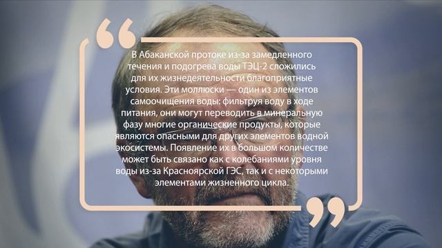 МОЛЛЮСКИ В ЕНИСЕЕ смотреть онлайн