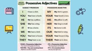 Притяжательные местоимения в английском языке.