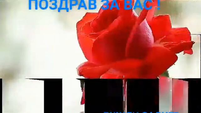 ТИ 😘 СИ 😘 МОЕТО 😘 СЛЪНЦЕ 😘