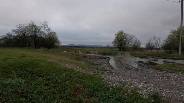 встретил голодную и милую собаку смотреть онлайн