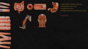 1. Мышечная ткань: поперечно-полосатая, гладкая, миокард - функции и различия.