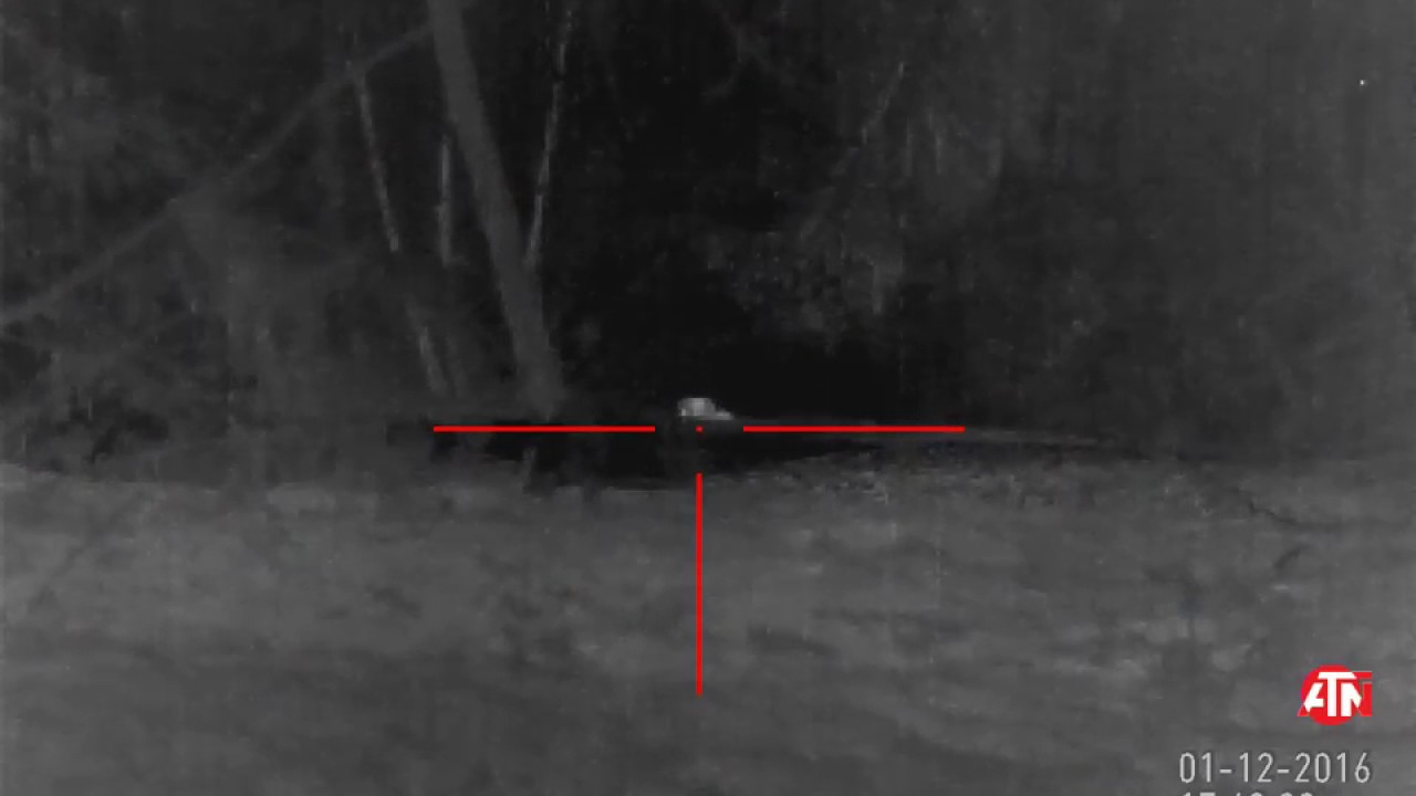 Выстрел под лопатку! С тепловизором ATN MARS-HD! Баллистика в действии! смотреть онлайн