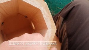 Размеры скворечника. Как сделать простой, но хороший домик для птиц?