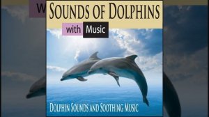 Sounds of Dolphins With Soothing Music