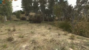 NLC 7 #8 Ружье Ореха | Тайник Ореха | Отдать ружье ореху |  Проход в Темную Долину | Квест Ореха