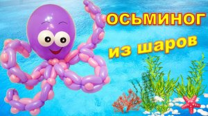 Осьминог из шаров. Мастер класс. Octopus made from balloons. Balloons. DIY. Hand made. How make