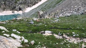 АРХЫЗ. Софийские озёра, Софийские водопады