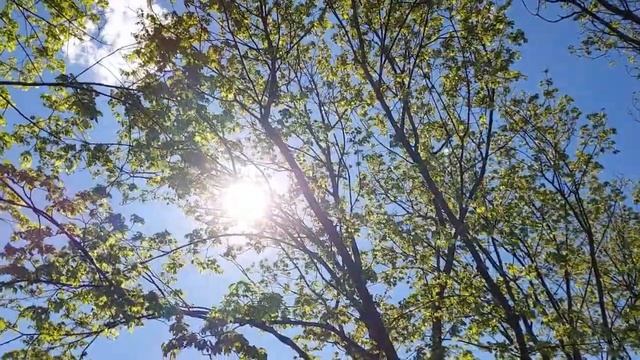 4 июня праздник. Василисков День. Что нельзя делать. Народные традиции. Праздник сегодня!