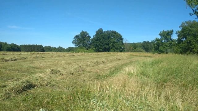 Работа граблей ворошилок OGR 8 6.3м на Т-40 смотреть онлайн