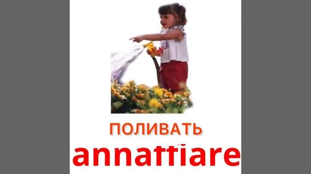 ИТАЛЬЯНСКИЙ ДЛЯ НАЧИНАЮЩИХ - САМЫЕ ВАЖНЫЕ ГЛАГОЛЫ (С КАРТИНКАМИ)