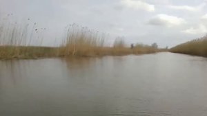 sea pro 9 9 летаем на раскатах