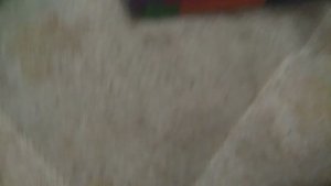 кв-44 м   не выживает