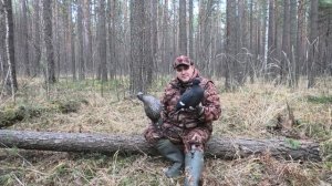 Про чучела тетеревов для охоты!