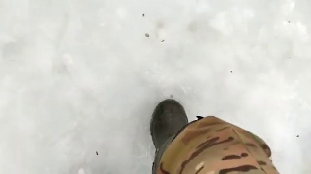 Яузское водохранилище. Состояние льда (27.02.2021) смотреть онлайн