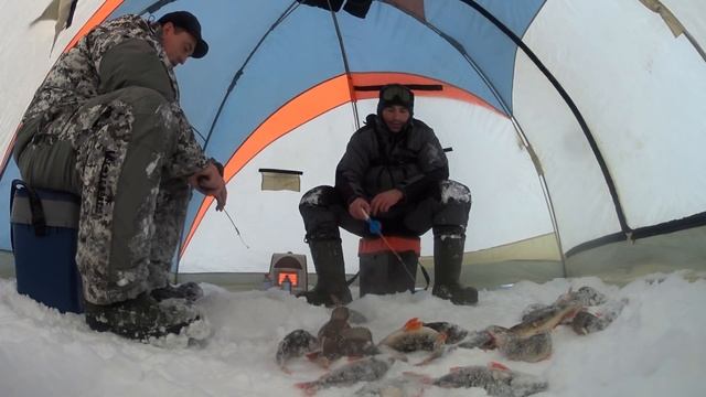 Сначала я подумал что рыбы здесь нет , а потом как началось. Зимняя рыбалка на Ямале. смотреть онлайн