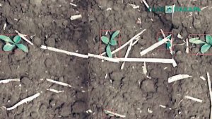 Сельскохозяйственные роботы PhenoFieldBot и BlueBob