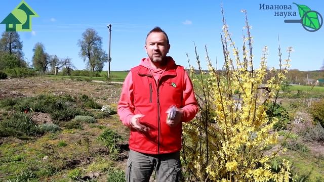 ЦВЕТ НАСТРОЕНИЯ - ПЁСТРЫЙ! Накупил семян: люблю яркие цветники, но чтобы без особого труда и хлопо смотреть онлайн