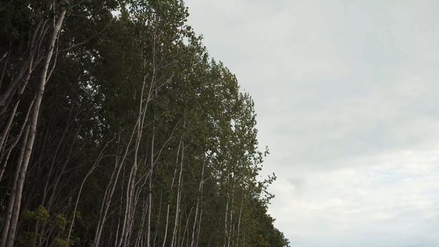 4K Walk to the beach. Sony a6300 + Sigma 30mm 1.4 + ND смотреть онлайн