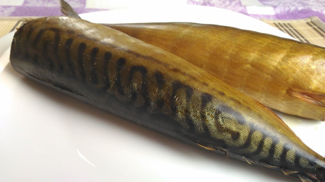 Как коптить скумбрию, чтобы было вкусно и красиво. Три секрета копчения рыбы в домашних условиях. смотреть онлайн