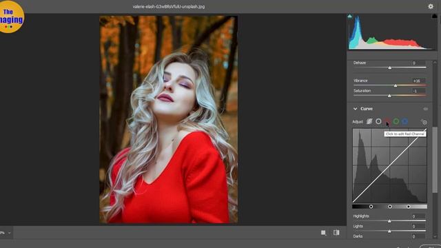 What are the New in Adobe Camera Raw 12.3 | The Imaging смотреть онлайн
