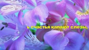 С Юбилеем Светлана!