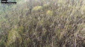 ГЛАВА 8: ВОЛОК НА МАЛУЮ ВАРЗУГУ. Кольский полуостров. Афанасия-Поной-Варзуга-Стрельна-Чаваньга-Кица