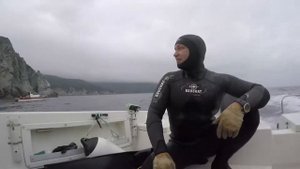 Без ружья. Подводная охота. Владивосток