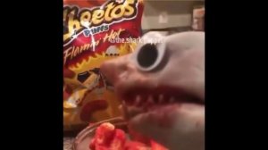 Shark Puppet Scream Compilation