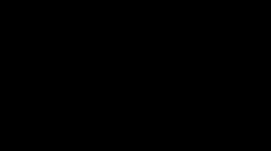 История Болезни - Тасманский дьявол - как рак уничтожает вид