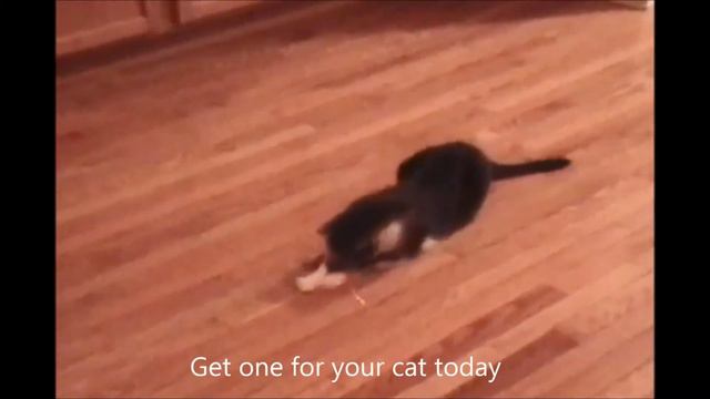 Frolicat Bolt Интерактивная игрушка лазер для кошек