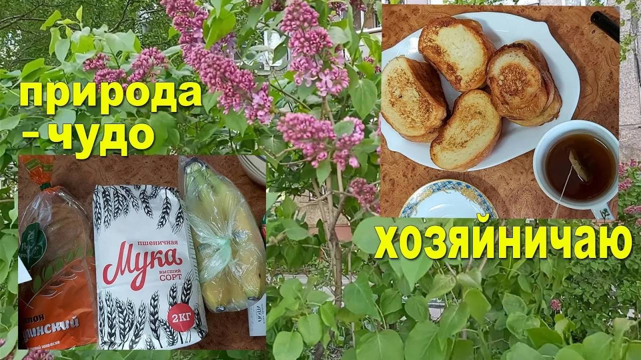 Не устаю восхищаться природой! Ленивая кошка! Дела хозяйские)))
