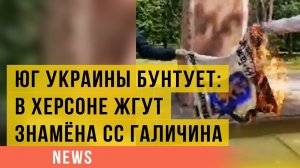 Юг Украины бунтует: в Херсоне жгут знамёна СС «Галичина»